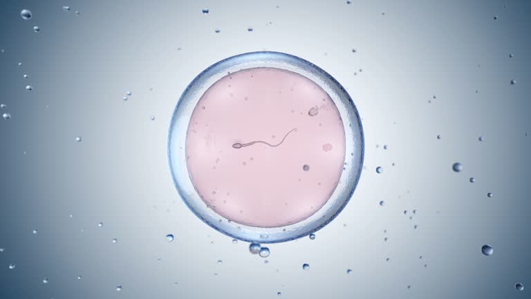 طفل الأنبوب في ايران طفل الأنبوب في ايران