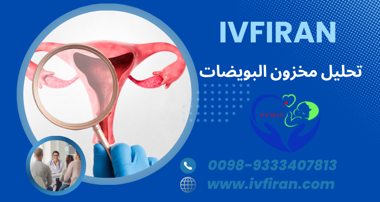 مخزون البويضات