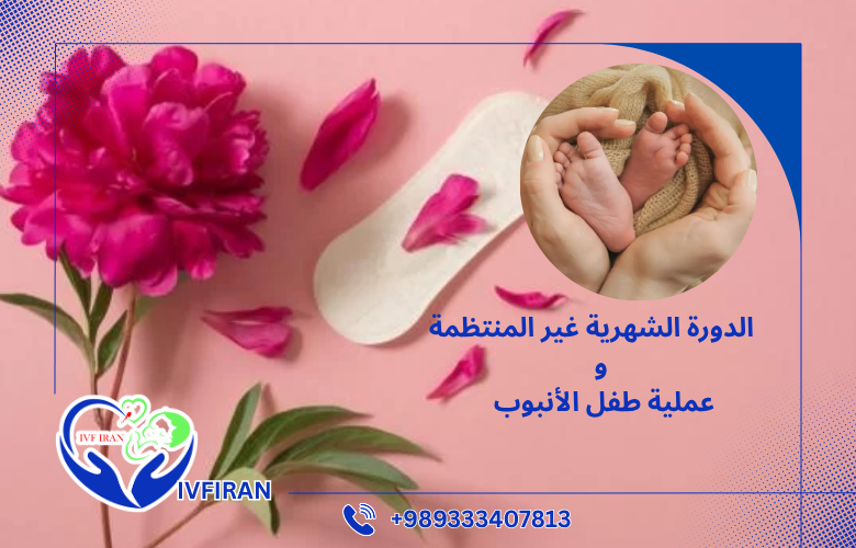 الدورة الشهرية