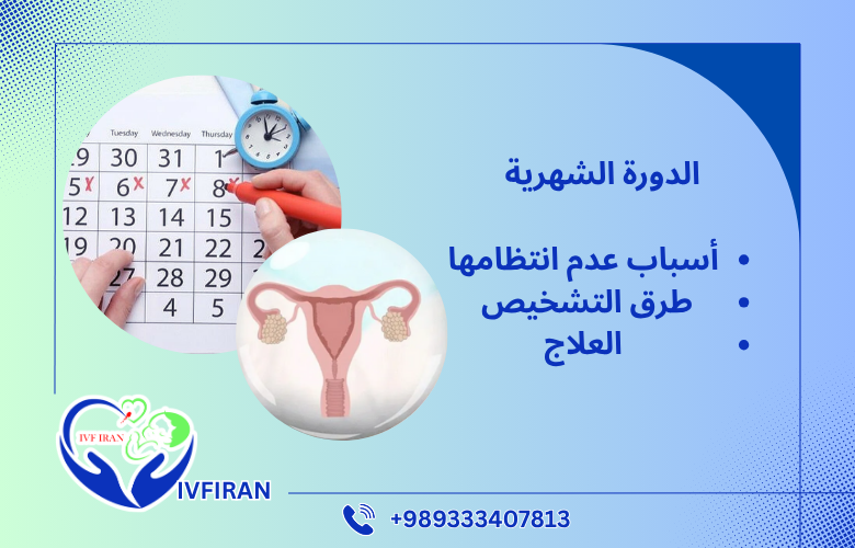 الدورة الشهرية