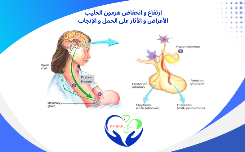 هرمون الحليب