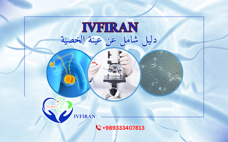 عينة الخصية