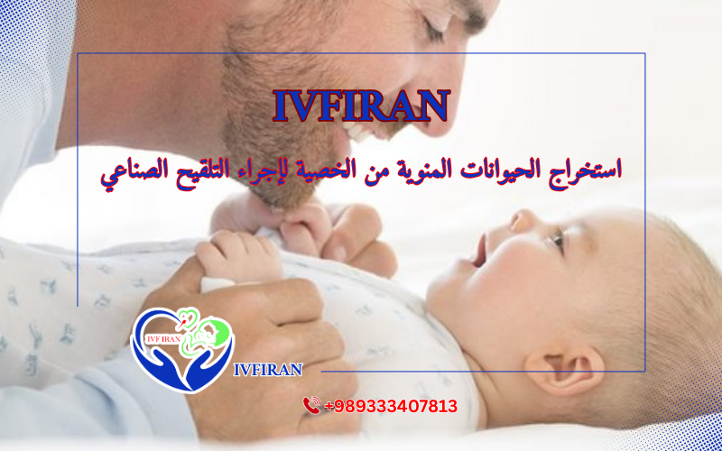 عينة الخصية