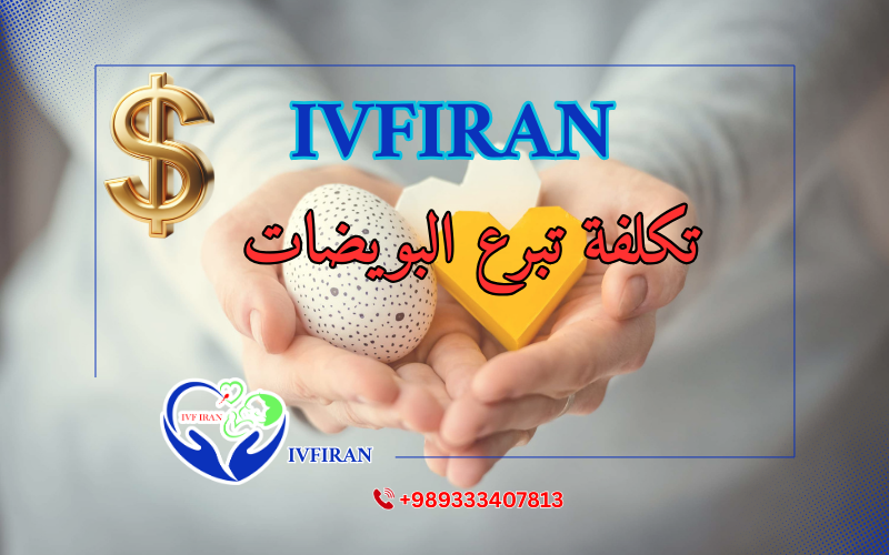 تكلفة تبرع البويضات