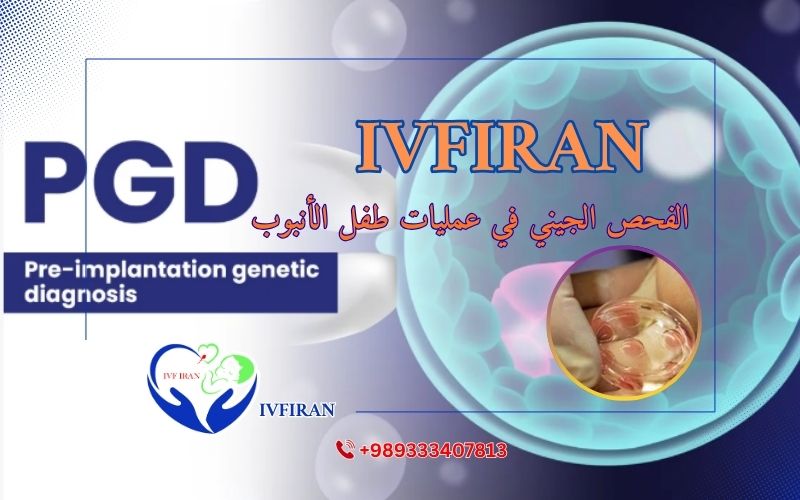 الفحص الجيني في عملية طفل الأنبوب